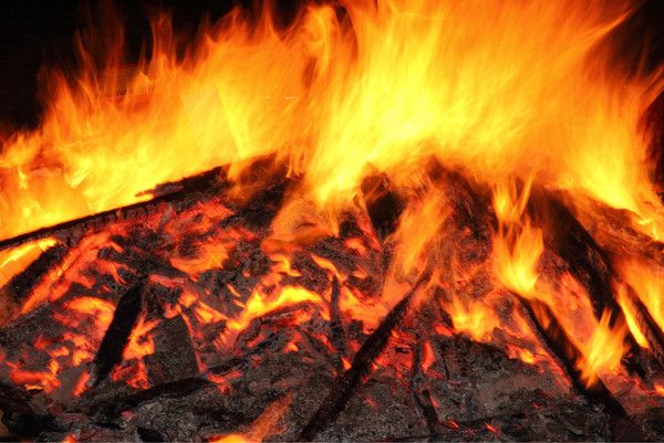 6月豐寧壩上騎馬