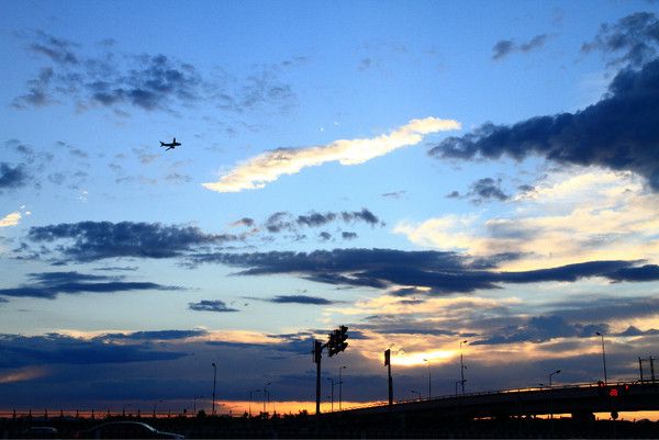 6月豐寧壩上騎馬