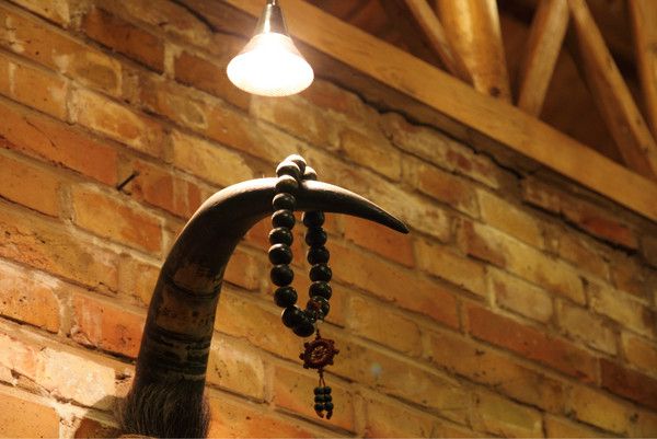 6月豐寧壩上騎馬