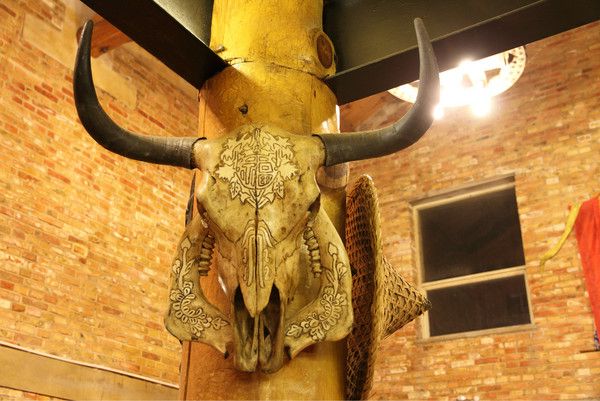 6月豐寧壩上騎馬