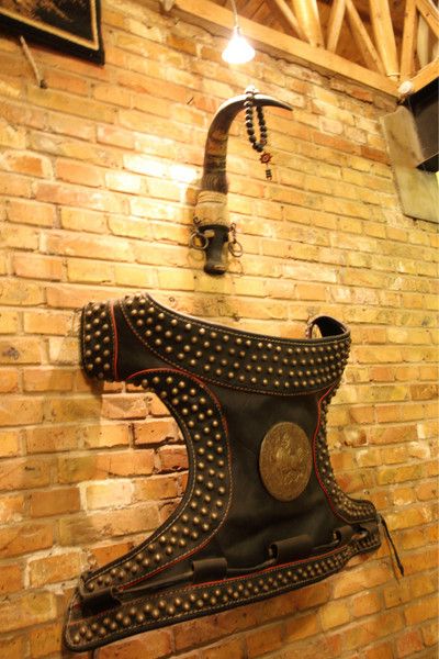 6月豐寧壩上騎馬