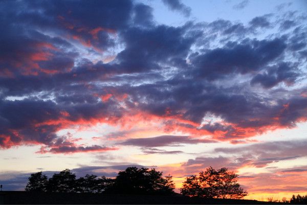 6月豐寧壩上騎馬