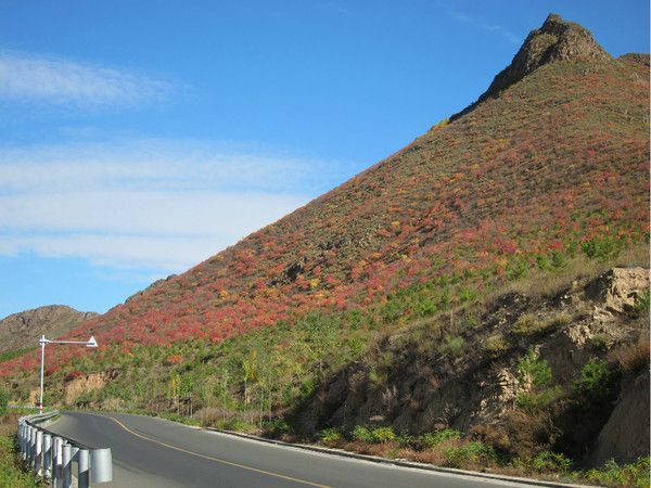 壩上+喇叭溝門(mén)旅游攻略圖片