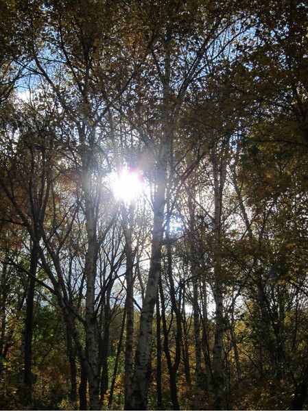 壩上+喇叭溝門(mén)旅游攻略圖片