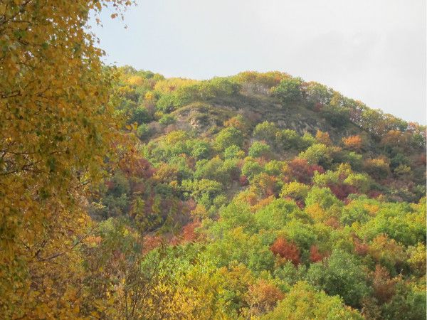 壩上+喇叭溝門(mén)景點(diǎn)圖片