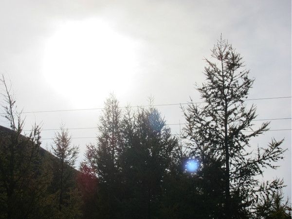 壩上+喇叭溝門(mén)旅游攻略圖片