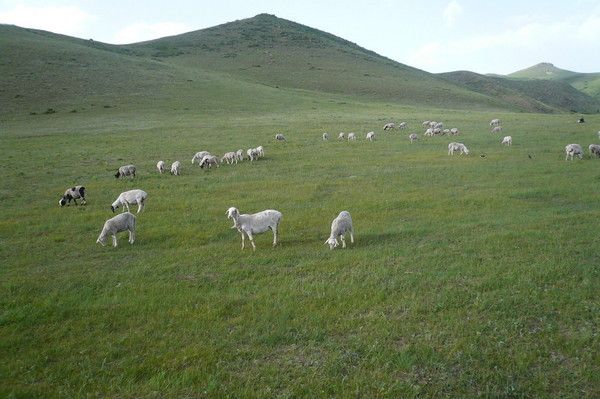 豐寧壩上自助游圖片