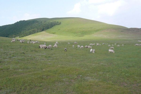 豐寧壩上自助游圖片