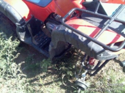 豐寧壩上自助游圖片