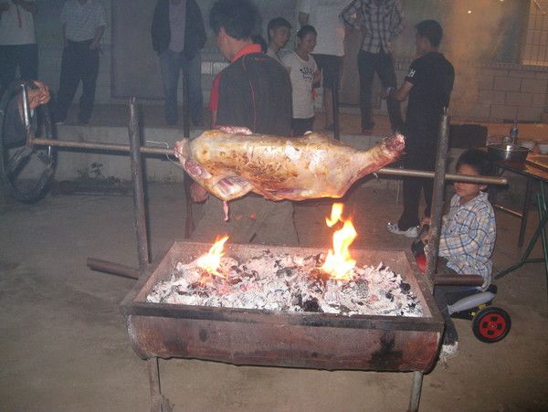 豐寧壩上自助游圖片