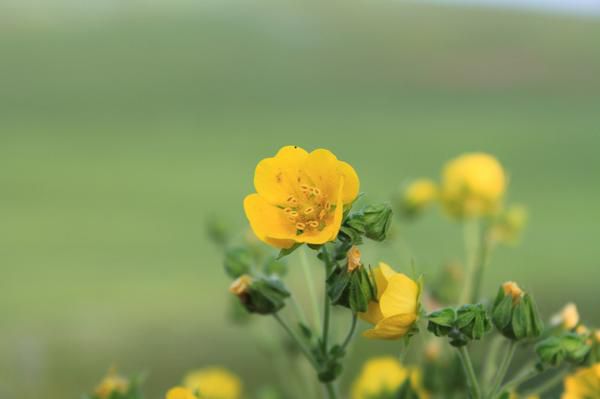 老掌溝自助游圖片