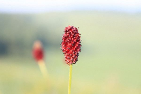 老掌溝旅游攻略圖片