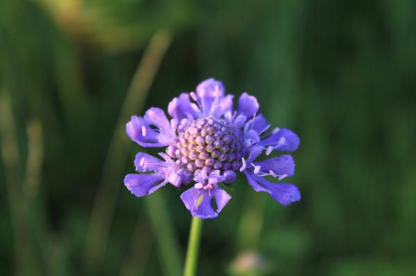 老掌溝自助游圖片