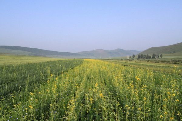 老掌溝自助游圖片