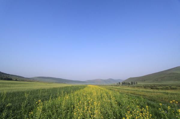 老掌溝景點(diǎn)圖片