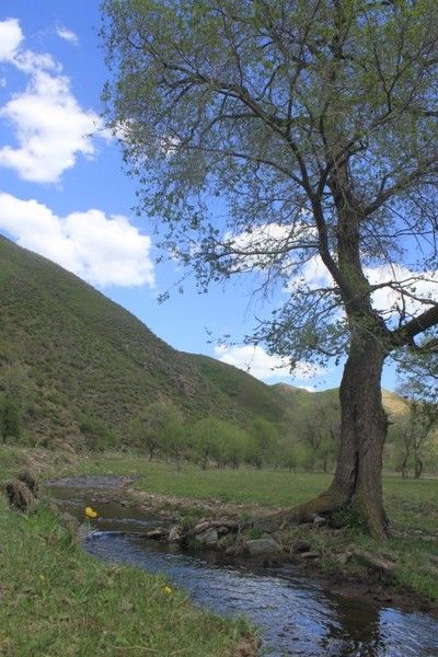 豐寧壩上自助游圖片