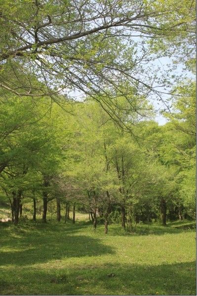 豐寧壩上景點圖片