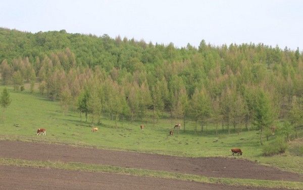 豐寧壩上旅游攻略圖片