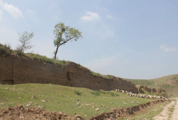 豐寧壩上旅游攻略圖片