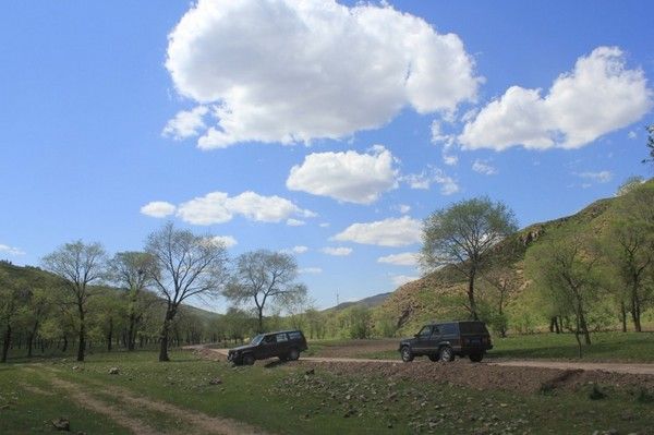 豐寧壩上自助游圖片