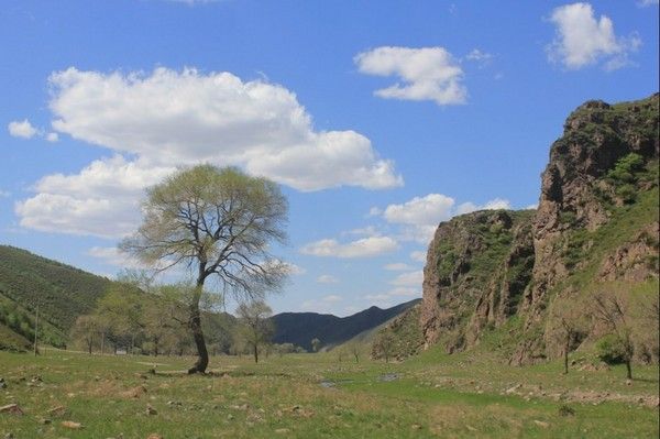 豐寧壩上旅游攻略圖片