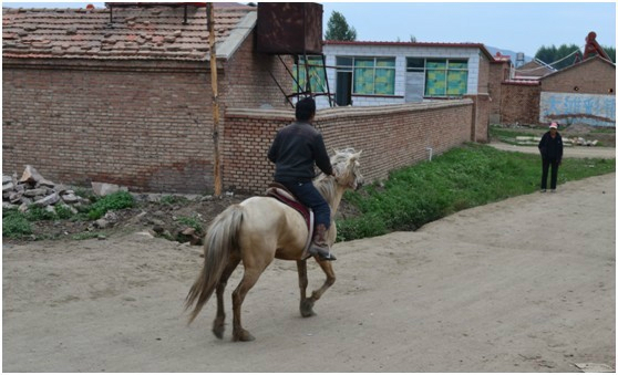 跟團(tuán)多“無(wú)趣”——匆匆2日壩上