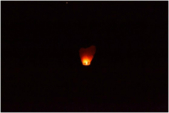 豐寧壩上自助游圖片