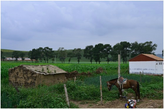 豐寧壩上旅游攻略圖片
