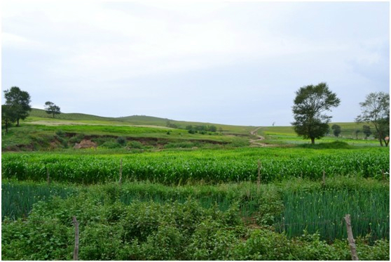 豐寧壩上景點圖片