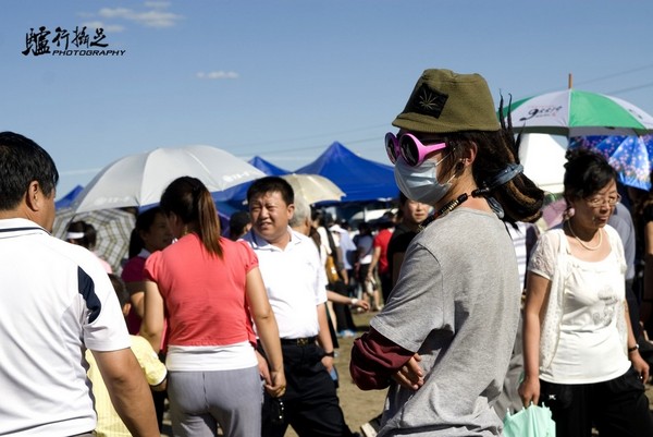 張北自助游圖片