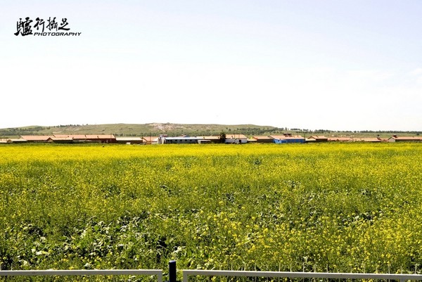 張北自助游圖片