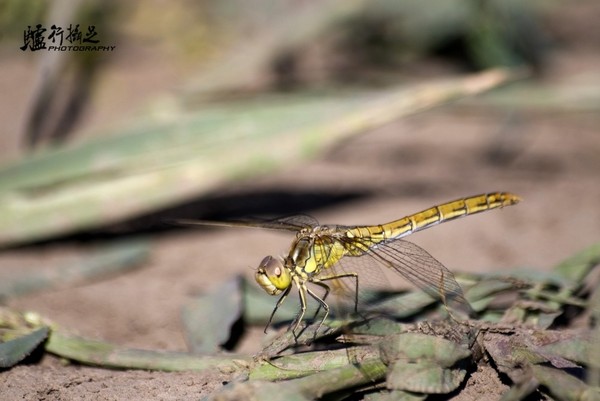 張北旅游攻略圖片
