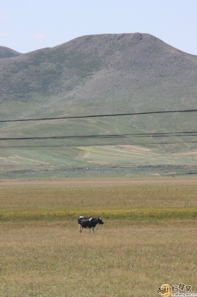 豐寧壩上景點(diǎn)圖片