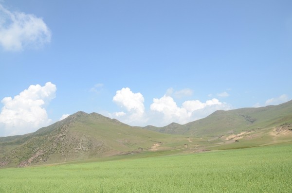 豐寧壩上景點圖片