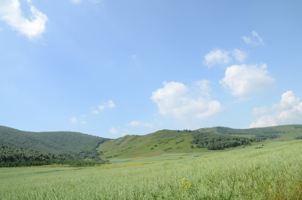 豐寧壩上景點圖片