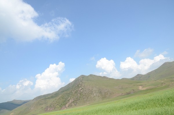 豐寧壩上景點圖片