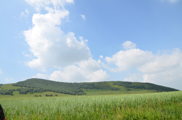 豐寧壩上自助游圖片