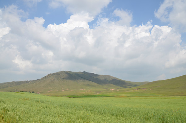 豐寧壩上旅游攻略圖片