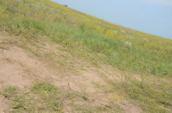 豐寧壩上旅游攻略圖片