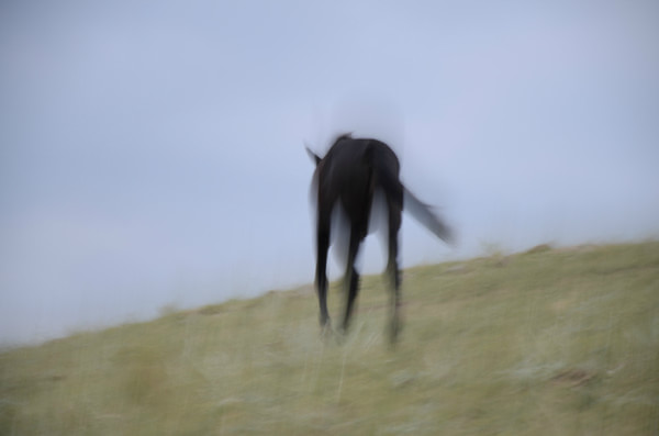 豐寧壩上旅游攻略圖片