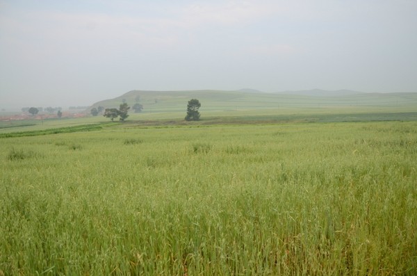 豐寧壩上景點圖片