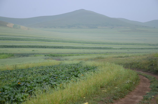 豐寧壩上旅游攻略圖片