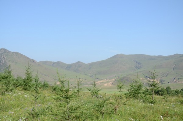 豐寧壩上景點圖片