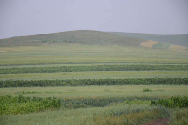 豐寧壩上自助游圖片