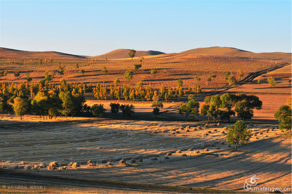 豐寧壩上自助游圖片