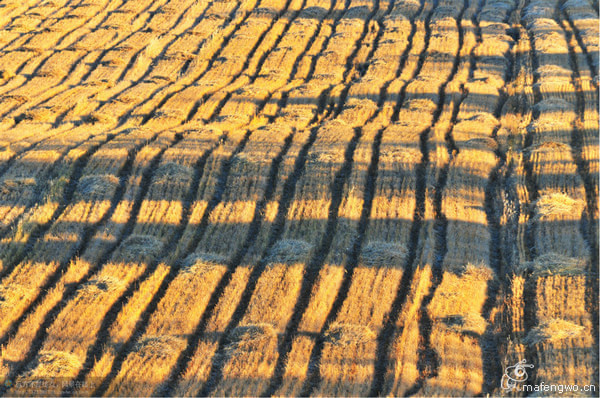 豐寧壩上自助游圖片