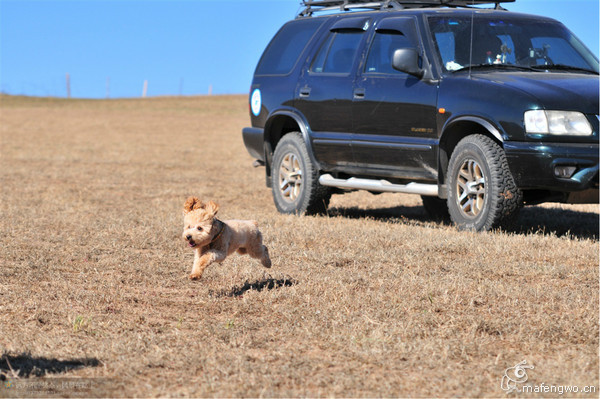 豐寧壩上旅游攻略圖片