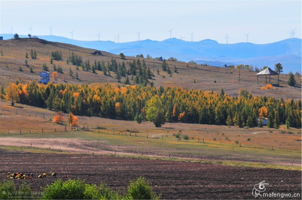 豐寧壩上旅游攻略圖片