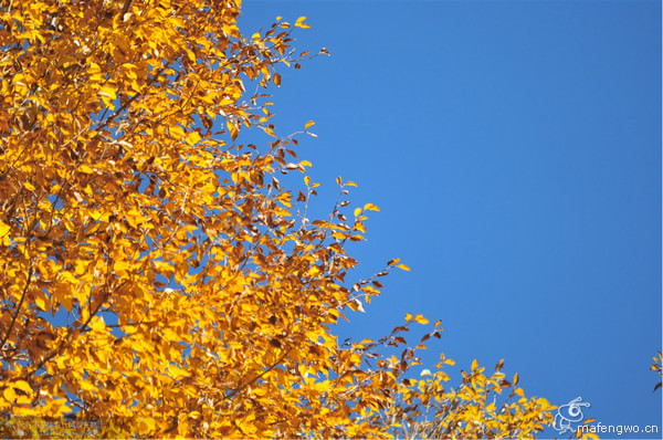 豐寧壩上旅游攻略圖片