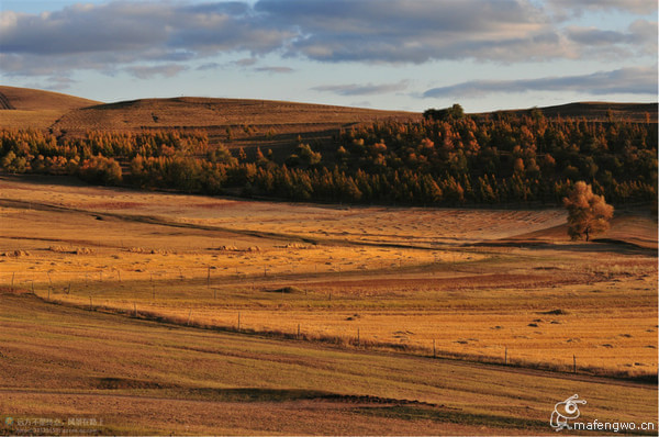 豐寧壩上景點圖片